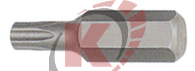 Бита TORX T45 L=30мм 10мм (BTX33045) Licota