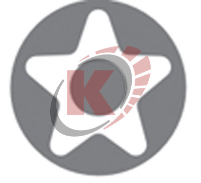 Набор бит-насадок TORX 3/8" 9пр. TS10H-TS50H 5 лучей с отв. ATF-4004(ATA-0360) Licota на линейке