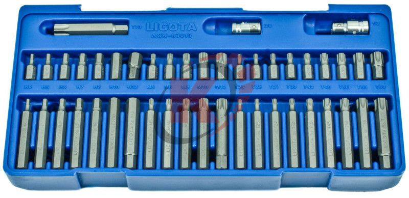 Набор бит 45пр. ложемент (ACK-B3015) Licota