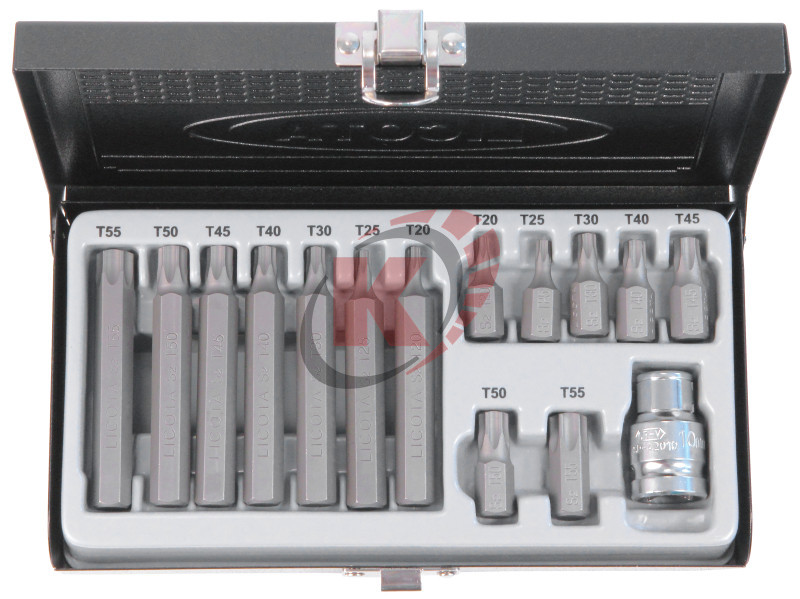 Набор бит TORX 15пр. Т20-Т55 (ABS-80007) Licota