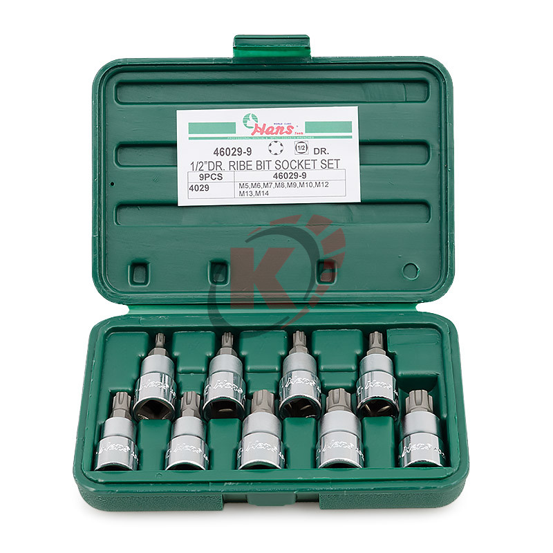 Набор бит-насадок 1/2" 9пр. в пластиковом кейсе RIBE (46029-9) Hans