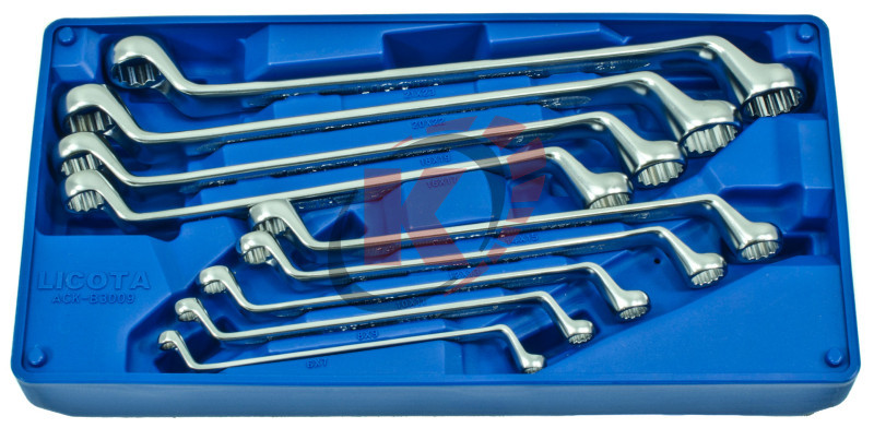 Набор ключей кольцевых коленч. КГН-9 6х7-21х23 (ACK-B3009) лож.-кейс Licota