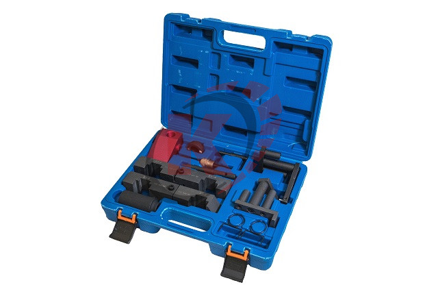 Набор фиксаторов валов BMW М60/М62 (VR50653) Vertul