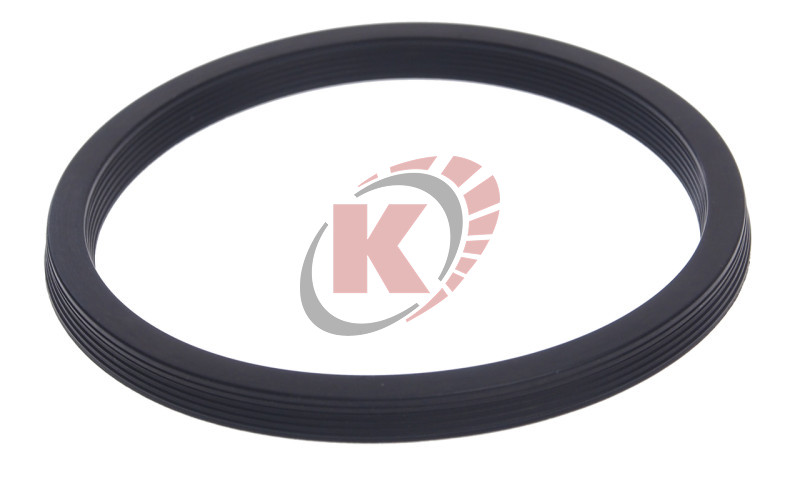 Ремкомплект 56 сальник для насоса (JTC-8P101A-56)